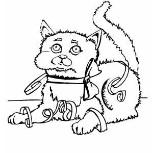 Surprised Christmas Kitten coloring page
