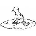 Bird On Cloud