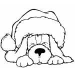 Sleeping Dog In Santa Hat