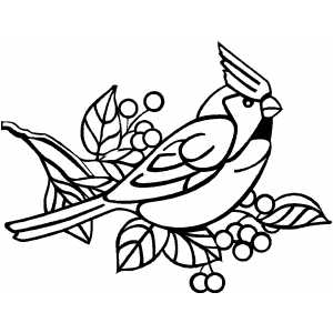 Angry Cardinal Bird coloring page