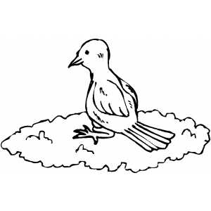 Bird On Cloud coloring page