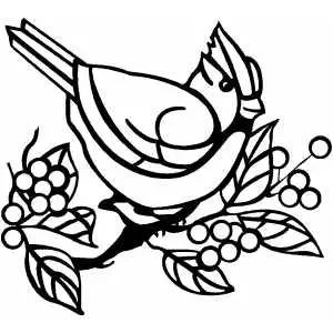 Happy Cardinal Bird coloring page