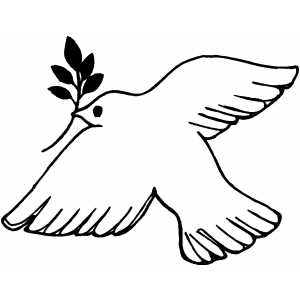 Dove With Branch coloring page