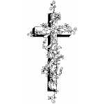 Cross2