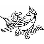 Angry Cardinal Bird