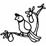 Partridge In Pear Tree