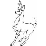 Stopped Reindeer