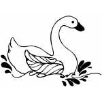 Swimming Swan