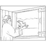 Noah Freeing Dove